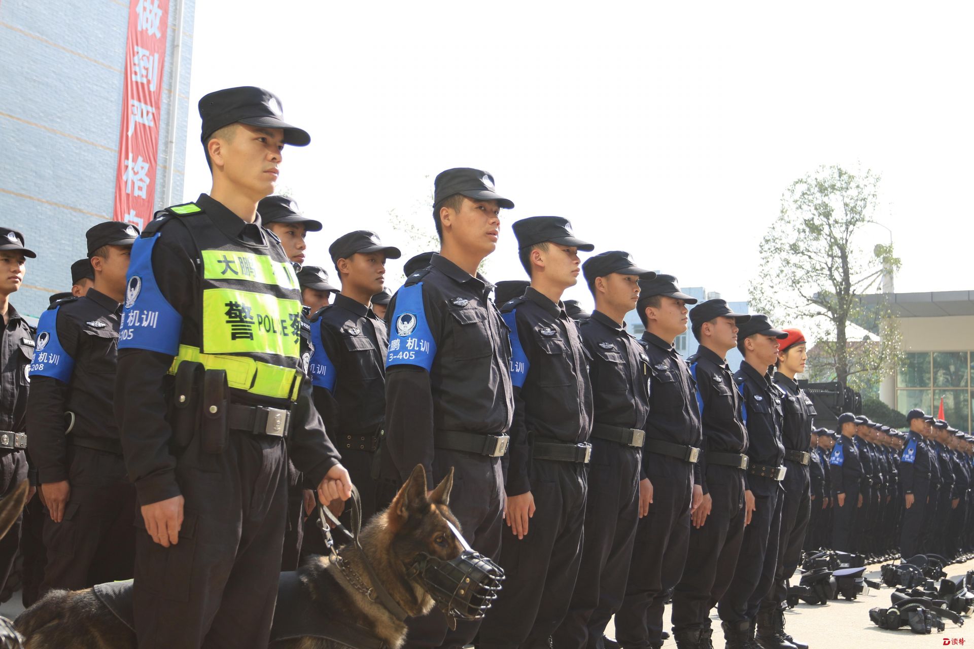 去年大鹏新区刑事治安总警情同比下降23.72%