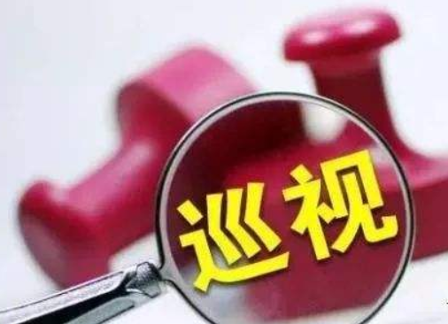 深圳市区两级组建58个巡察组对247个党组织开展巡察