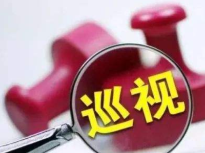 深圳市区两级组建58个巡察组对247个党组织开展巡察