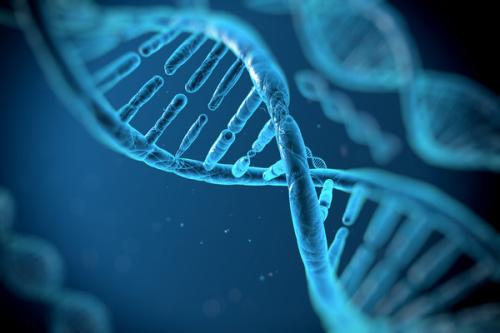 基因编辑被列为高风险生物技术 未经伦理审查不得开展临床研究