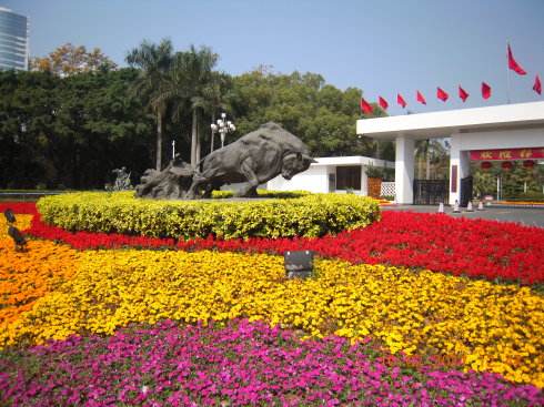 深圳市领导亲切看望慰问老同志