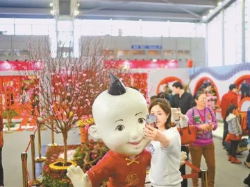 已有超过25万人逛了深圳迎春花市！你逛了吗？ 