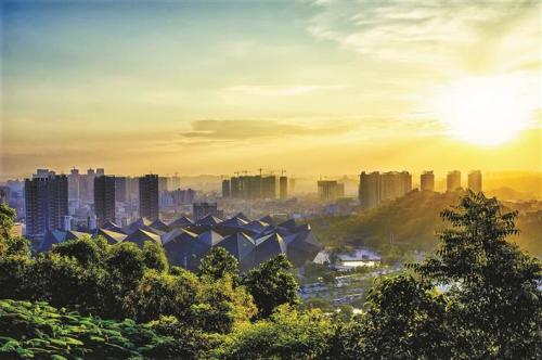 打造深圳东部文化高地！龙岗区召开全区宣传思想文化工作会议