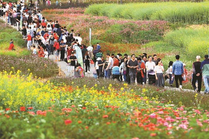 和风丽日景正好 市民欢乐游鹏城