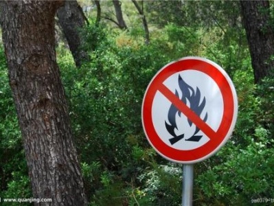 深圳市应急管理局：春季进山这些行为可能导致林区火灾