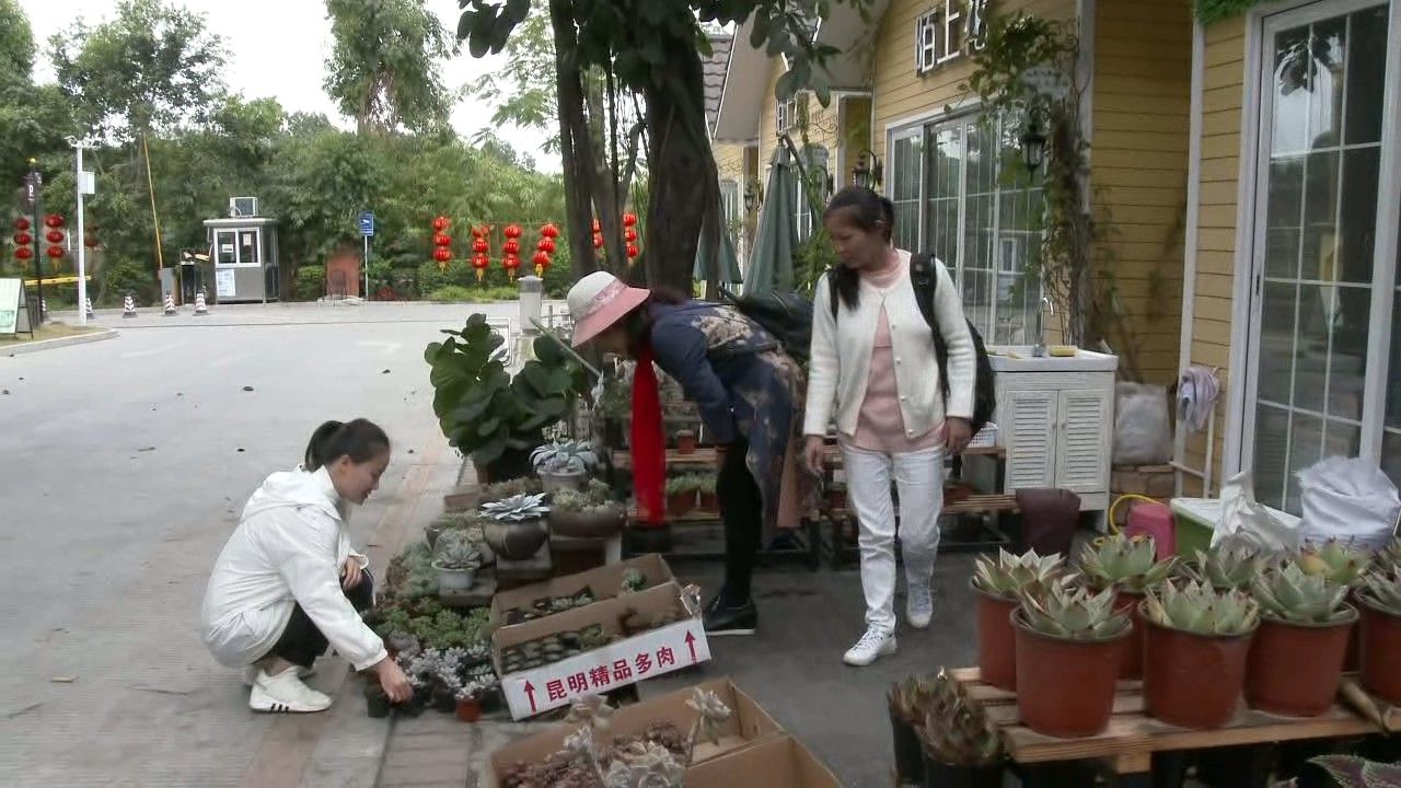 没丢一盆花！深圳无人花店春节收到33笔转账