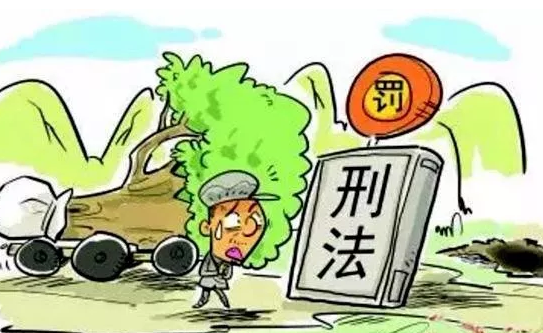 南山法院公审首宗破坏生态环境刑事附带民事公益诉讼案