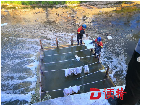 趁过年偷排污水？抓！坪山打响保护生态“第一枪”