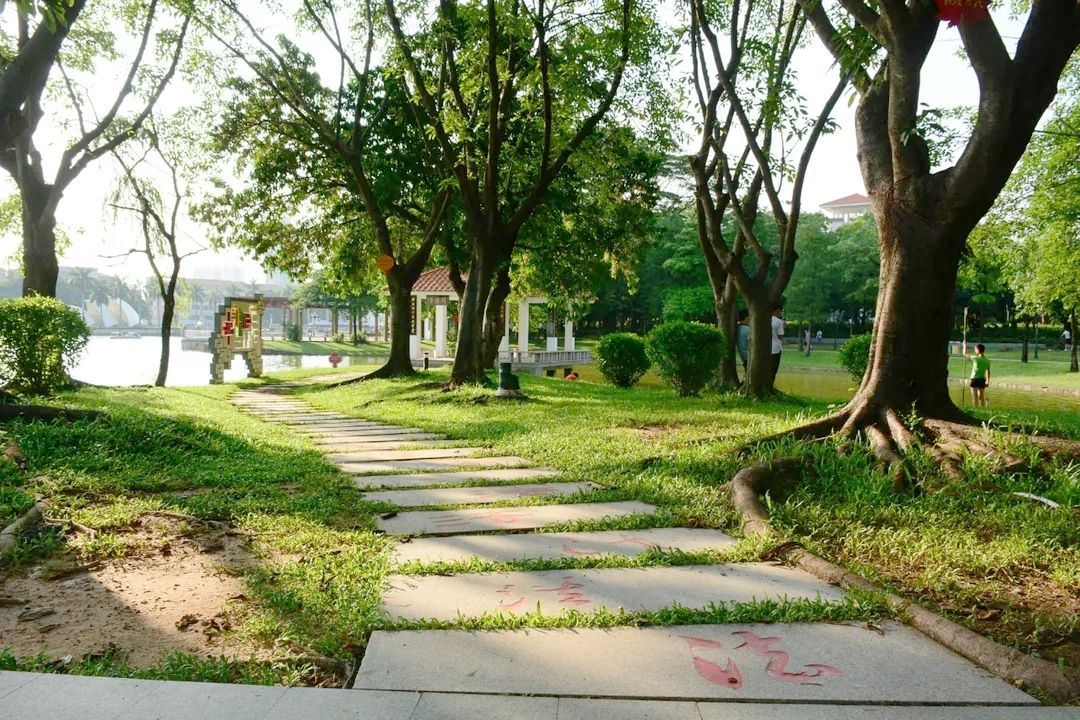 东莞6个公园超颜值，与深圳并列全省第一
