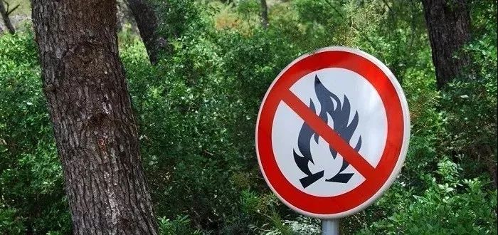深圳已发森林火险黄色预警，违反这“5大禁令”，后果很严重