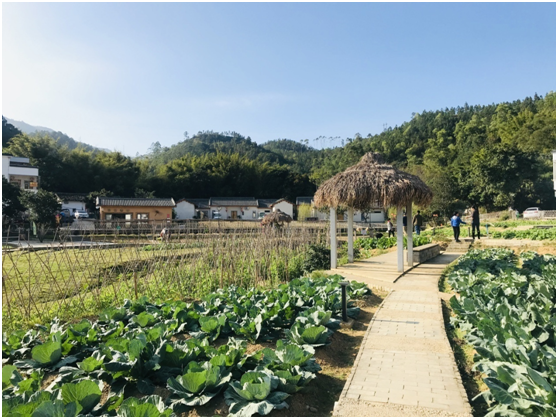 螺溪谷：精准扶贫孕育客家乡村游新名片