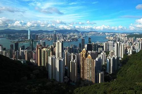 构建结构科学集约高效的大湾区发展格局
