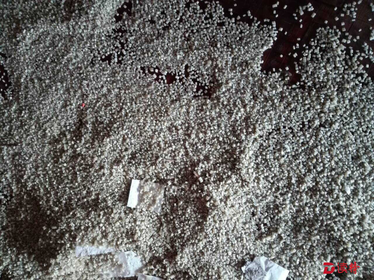 蛇口海关查获固体废物25.9吨