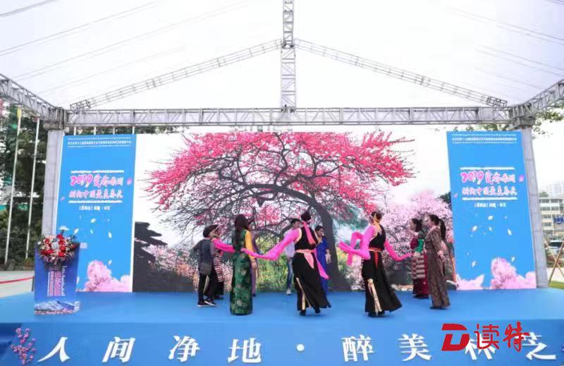 相约中国最美春天  林芝推介桃花旅游文化节