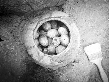 江苏一古墓挖出2500多年前的鸡蛋