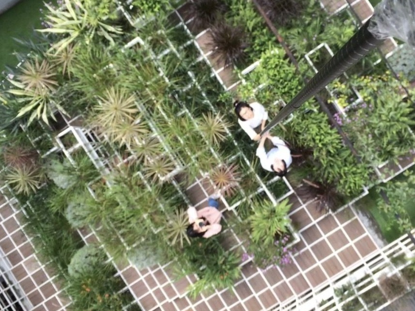 抬头找一找！“最美屋顶·最美深圳”公众参与活动火热开启