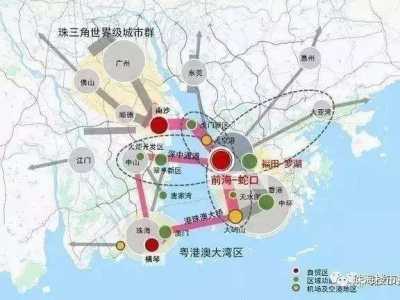 潘明委员：对标世界级城市群 构建大湾区交通一张网