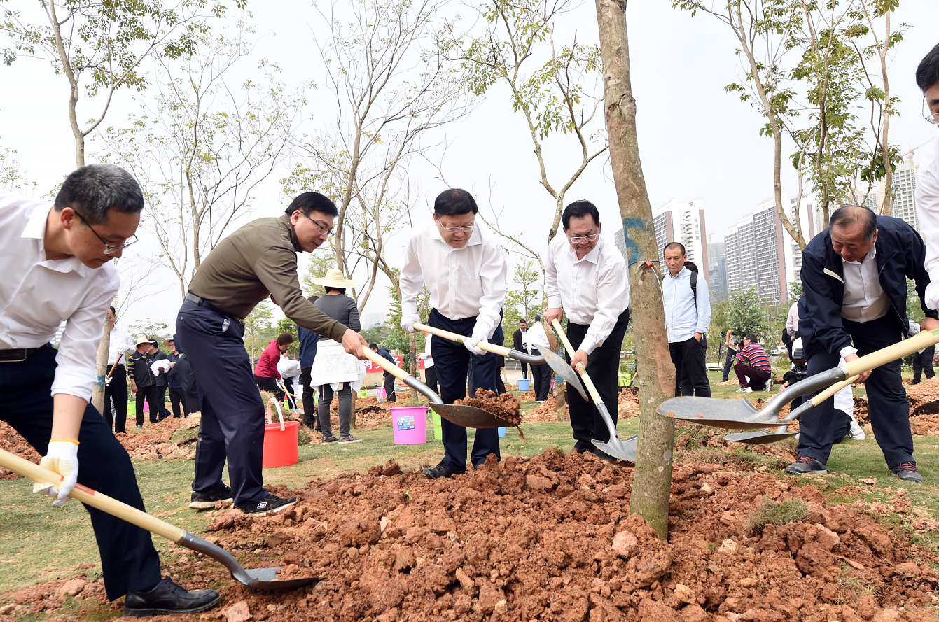 履行植树义务 共建美丽深圳