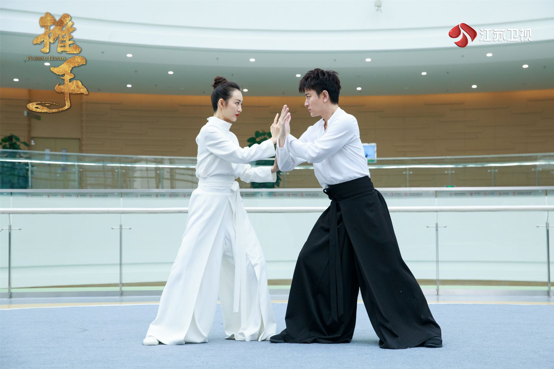 《推手》接档《都挺好》登陆江苏卫视 贾乃亮、王鸥首次合作