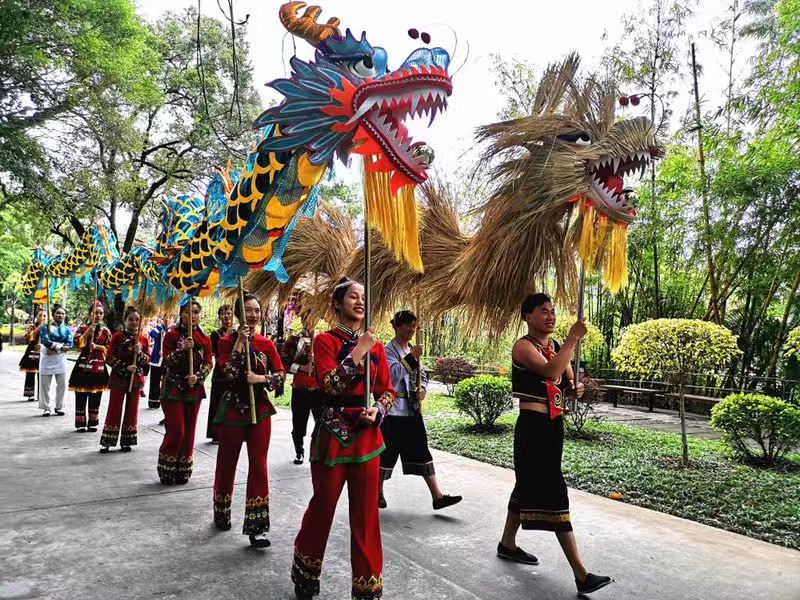 二月二“龙抬头”！快来锦绣中华看传统民俗—舞草龙