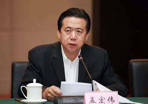 公安部原党委委员、副部长孟宏伟被双开