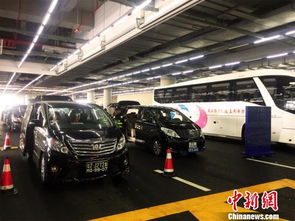 黄细花代表：推动港澳居民内地自驾便利化