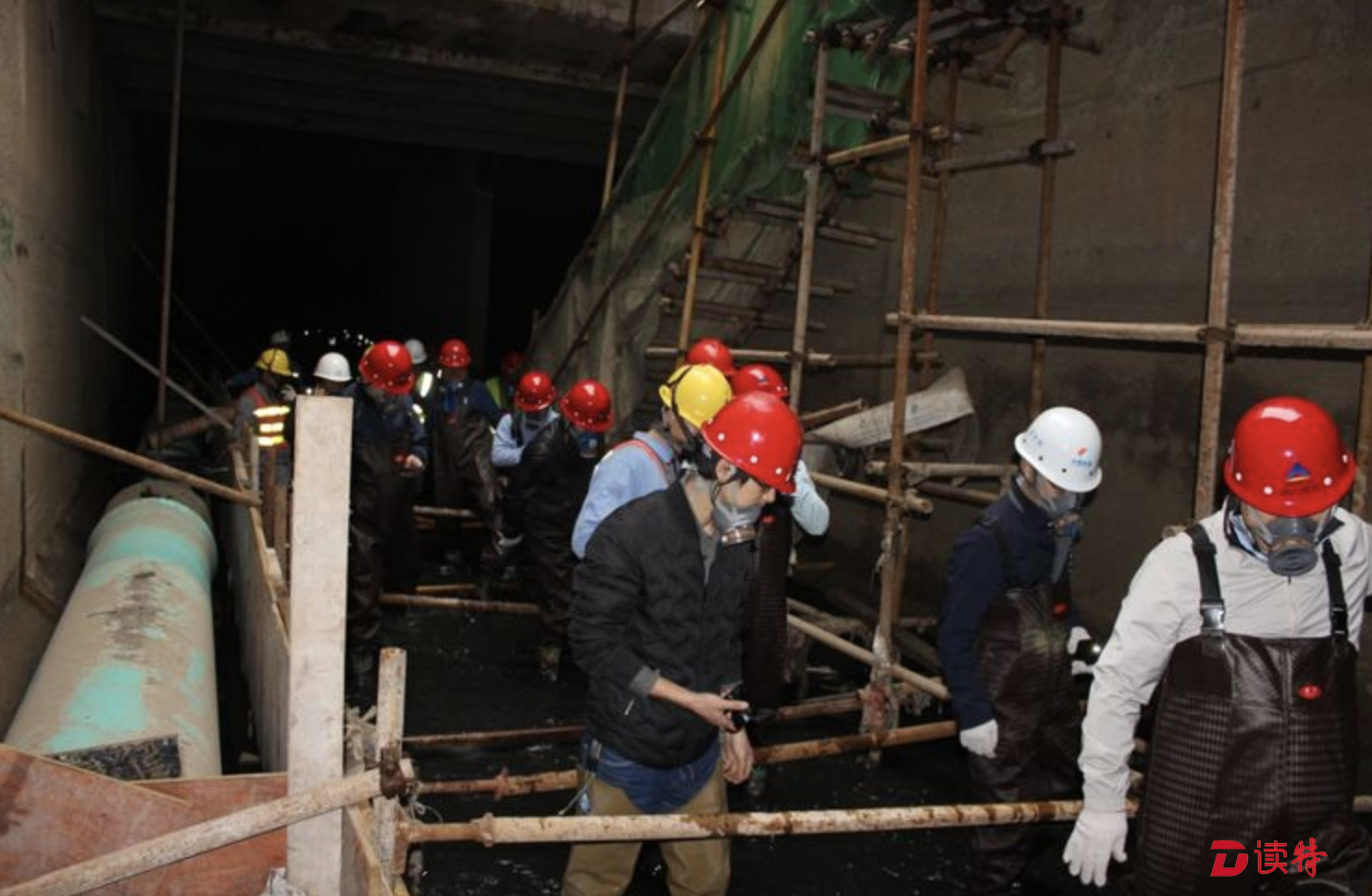罗湖区人大代表、政协委员为笔架山河黑臭整治建言献策