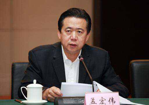 鲁炜、苏荣之后，又有“老虎”因涉及这些问题被双开