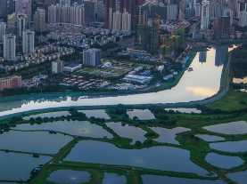 陈如桂调研深圳河（湾）等水污染治理工作