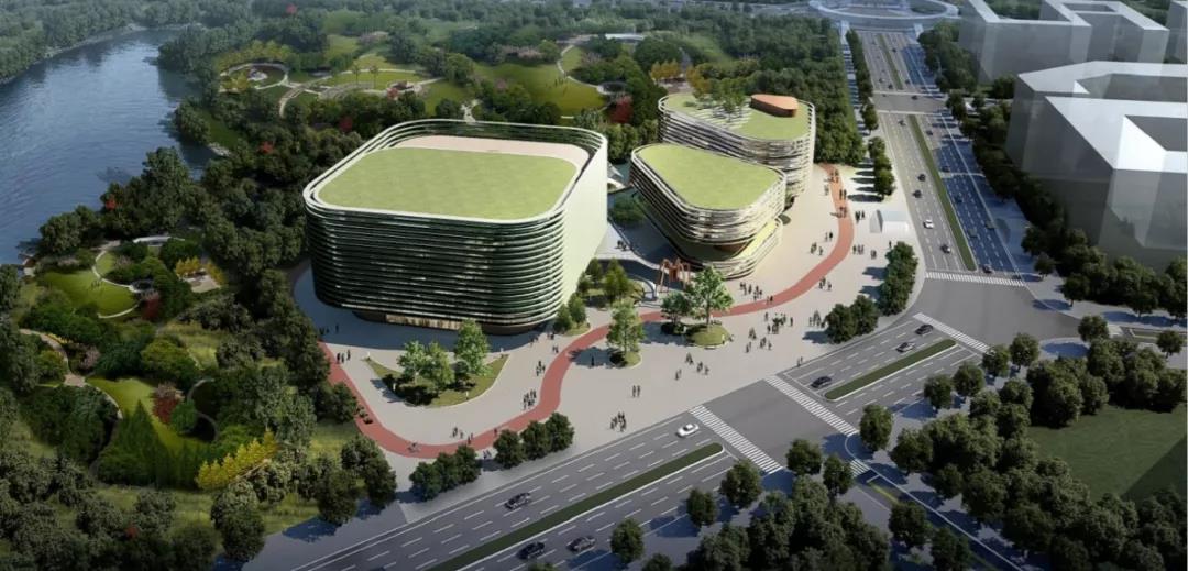 龙湖运动公园，怎么建、建什么？期待您的高见