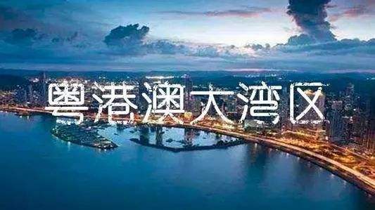 全国政协委员李佳鸣：  助推粤港澳大湾区 医疗健康产业高质量发展