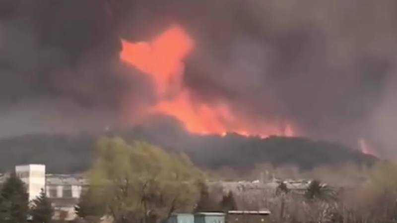 辽宁沈阳突发山火，当地阵风10到11级 山火蔓延迅速