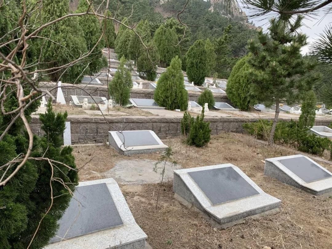 6万座坟！青岛崂山景区如何成了非法坟墓集中地？当地回应了