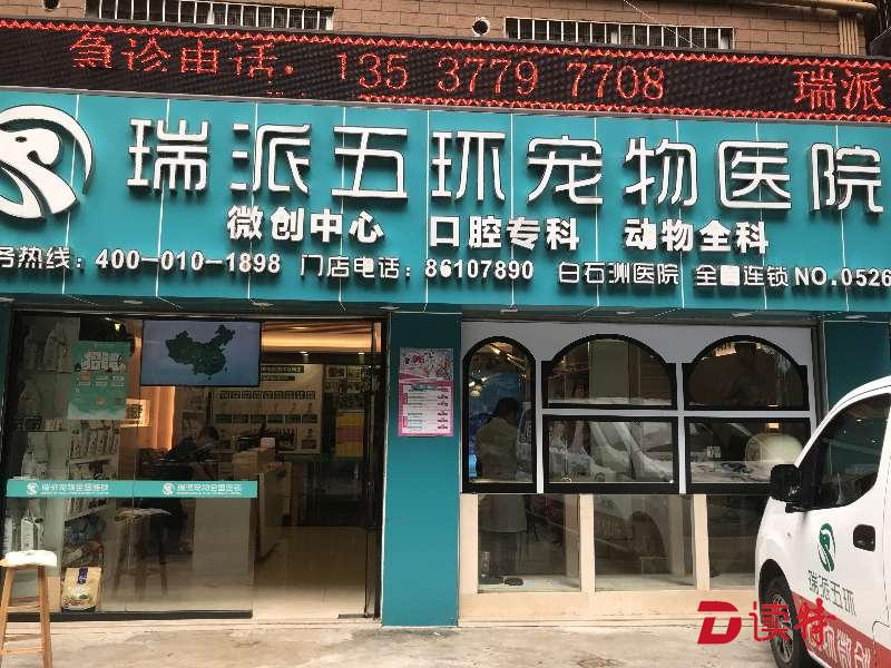 宠物产业立法：深圳能走在前列吗？