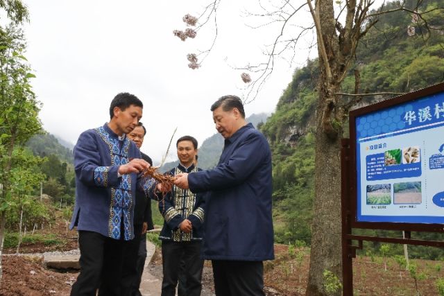 解剖一只麻雀，解决一类问题，总书记重庆之行有何深意？