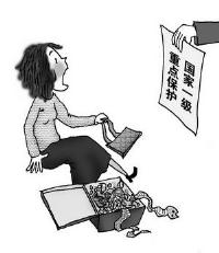 打掉9个濒危物种走私犯罪团伙！“守护者2019”专项行动“大丰收”！