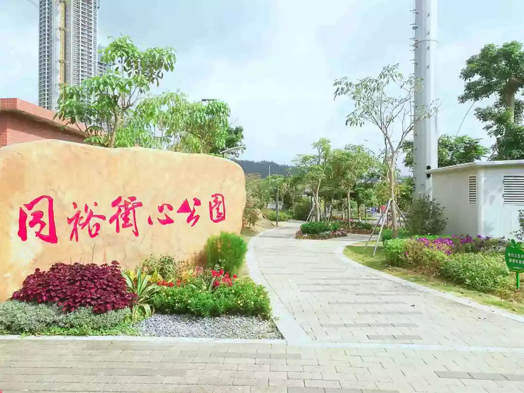 3月深圳街道环卫榜，碧岭全市第二！