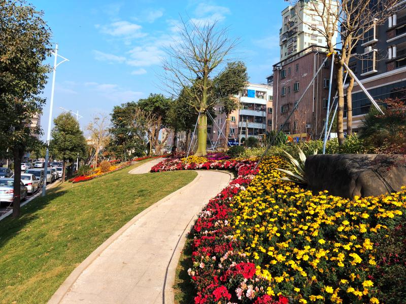 荒草地变公园！龙华区大浪街道再添一街心公园
