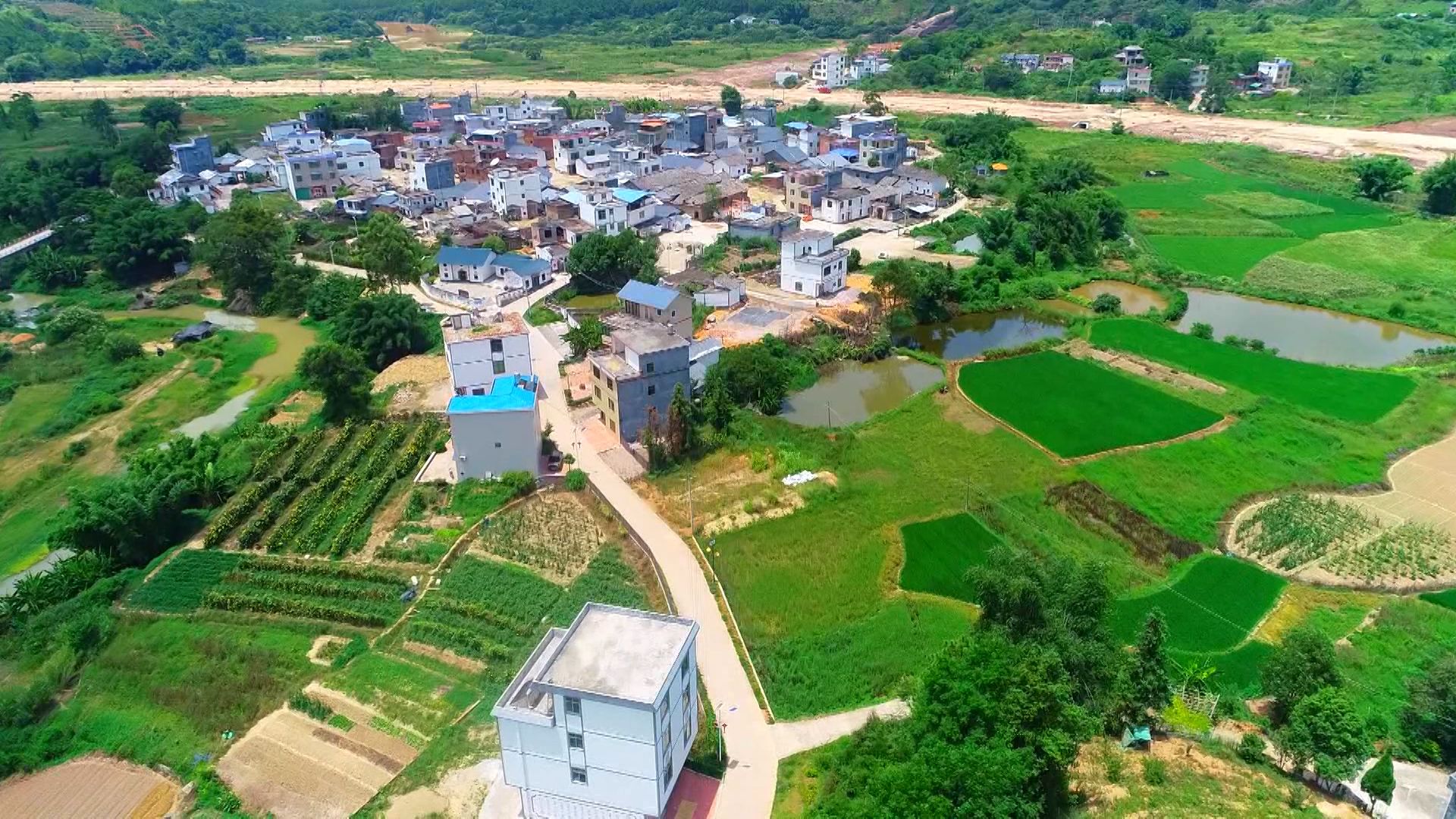 识圳｜今年首次率队赴外地学习考察，王伟中到了这里