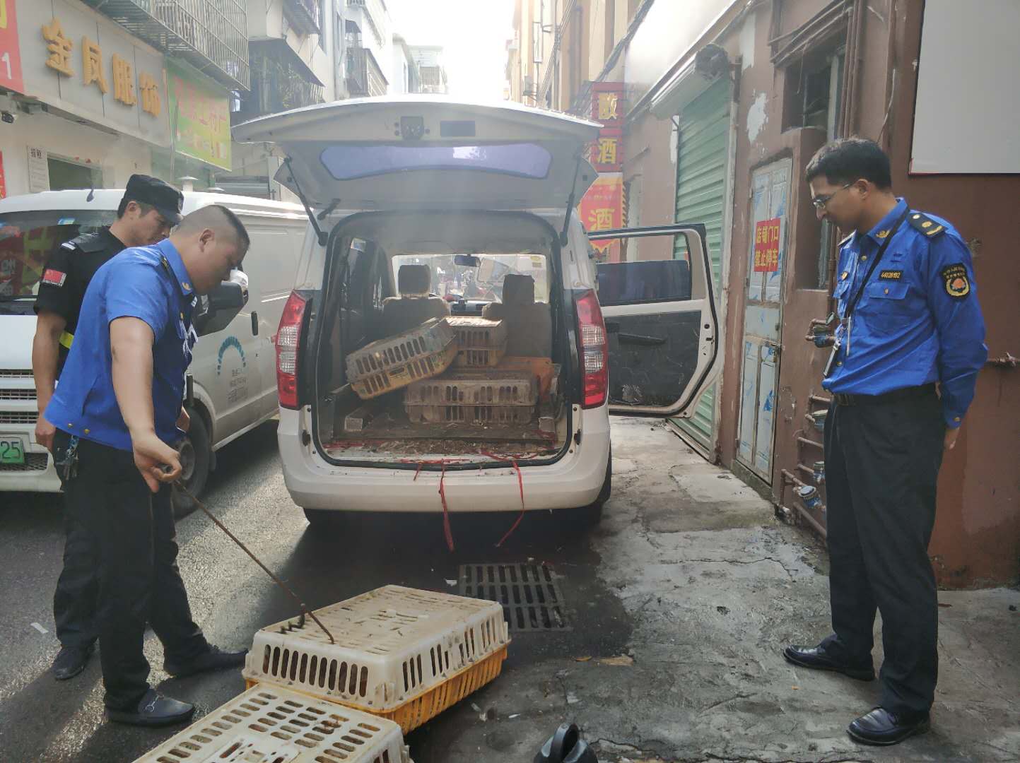 南湾街道加大查处非法饲养活禽违规行为