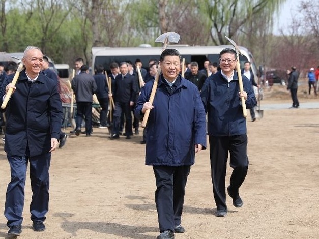 每年春天，习近平总书记都会参加这项活动
