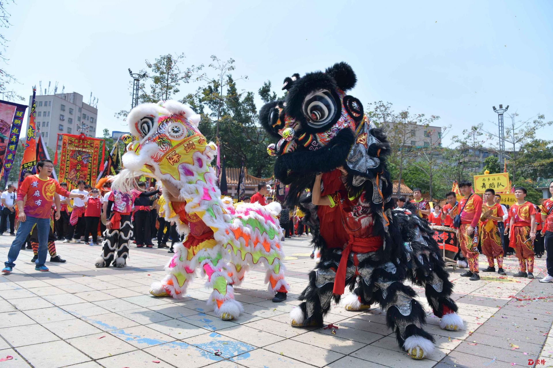 相约西乡农历三月三 领略宝安千年故乡风韵
