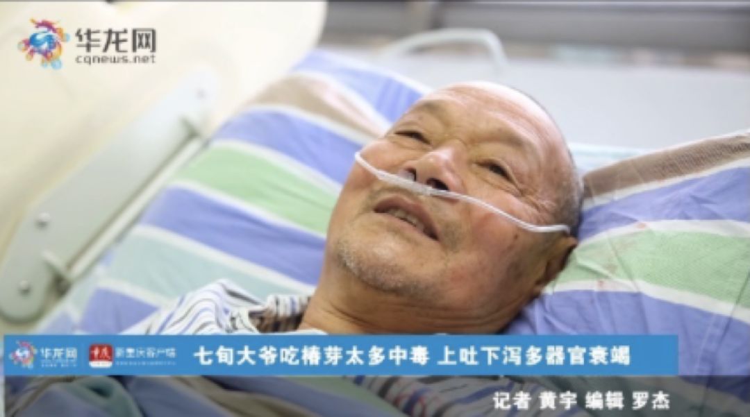吃了一盘香椿炒蛋，竟器官衰竭！这些菜吃前要先做一件事……
