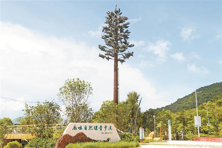 深圳首条自然课堂步道来了！手机扫码体验山海“全景博物馆”