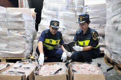 6年零差错、零事故、零投诉！文锦渡边检这支女警队伍喜获全国“巾帼文明岗”