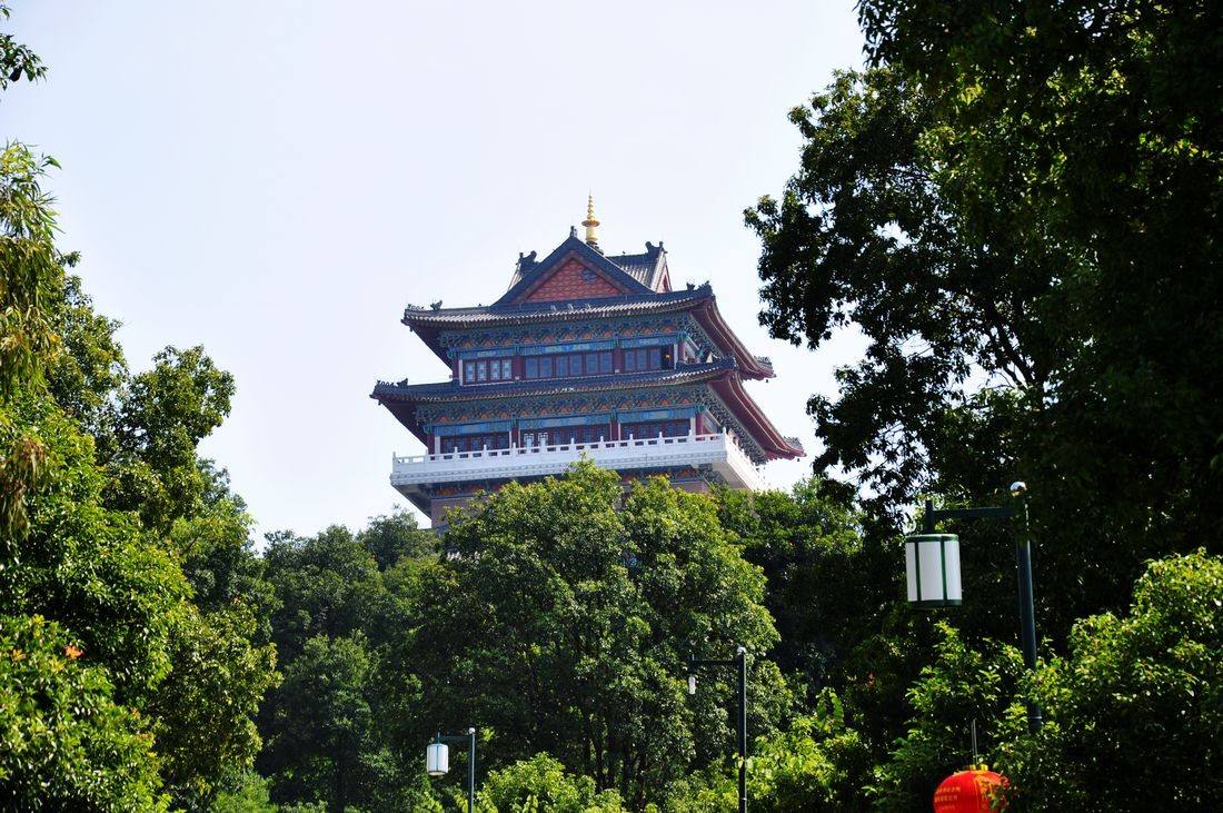 惠州高榜山连续发生3次森林火灾！竟是人为纵火