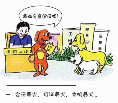深圳7岁女童小区内玩耍被狗咬伤！无证养犬犬主依法被判行政处罚