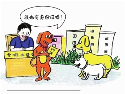 深圳7岁女童小区内玩耍被狗咬伤！无证养犬犬主依法被判行政处罚
