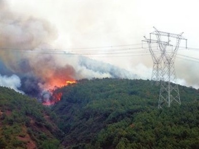 四川凉山三县发生森林火灾，已组织上千人扑救