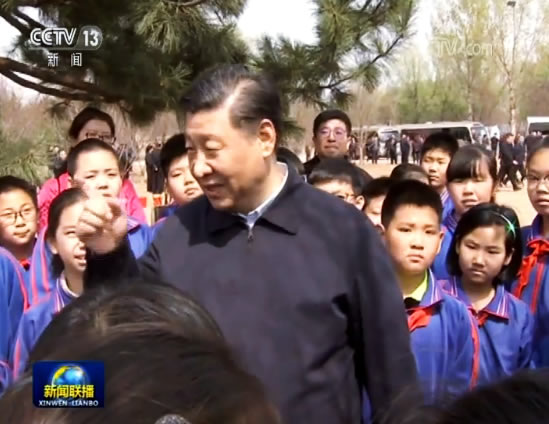 独家V观｜习近平：中国人工林 世界第一 